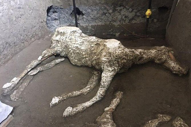 Pompeii and Amalfi Coast Day Trip from Naples - Who Should Book This Tour?