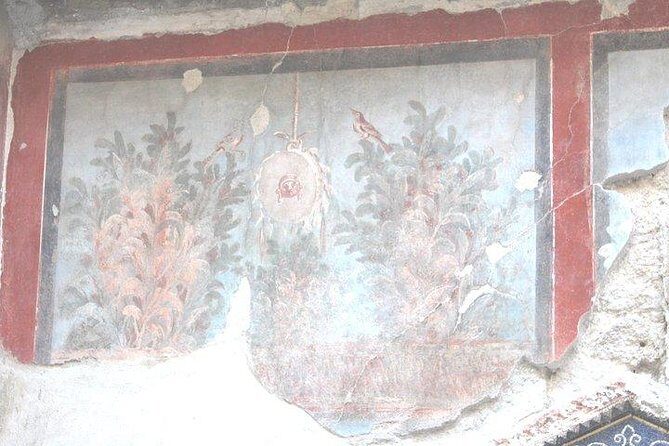 Pompeii and Herculaneum Private Tour with Native Guide and Skip the Line Tickets - An In-Depth Look at the Tour Experience