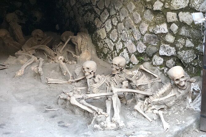 Pompeii and Herculaneum Private Tour with Pick up and Wine Tasting - Final Thoughts: Should You Book This Tour?