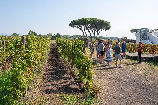 Pompeii and Naples From Rome: Private Full-Day Tour with Lunch - Taking in Naples: City Streets Alive