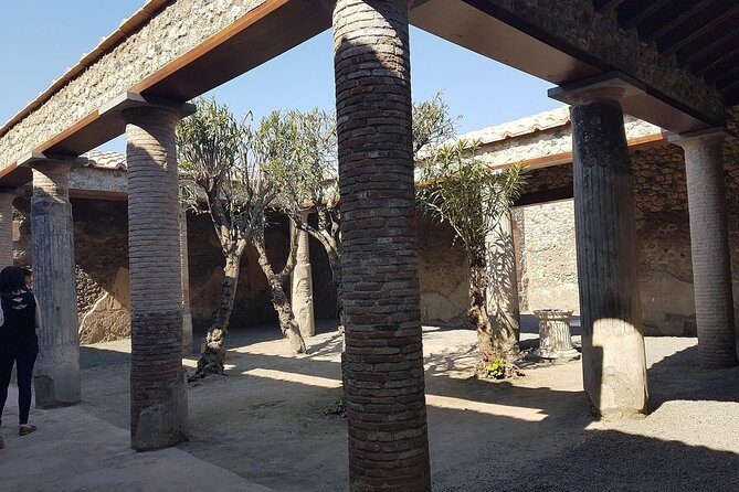 Pompeii and Naples From Rome: Private Full-Day Tour with Lunch - How This Tour Works: Logistics & Practicalities