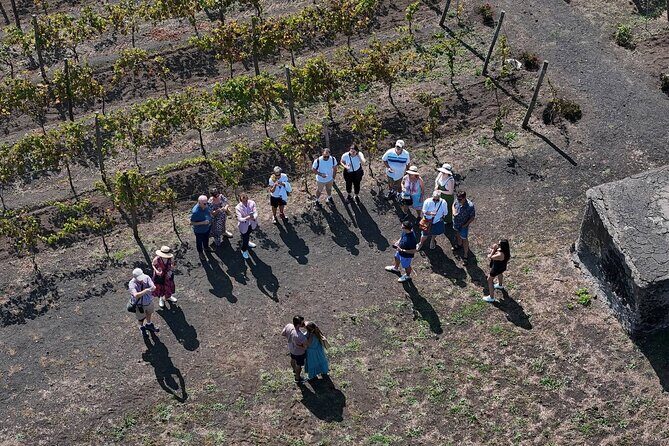 Pompeii and Naples From Rome: Private Full-Day Tour with Lunch - Authentic Experiences & Highlights