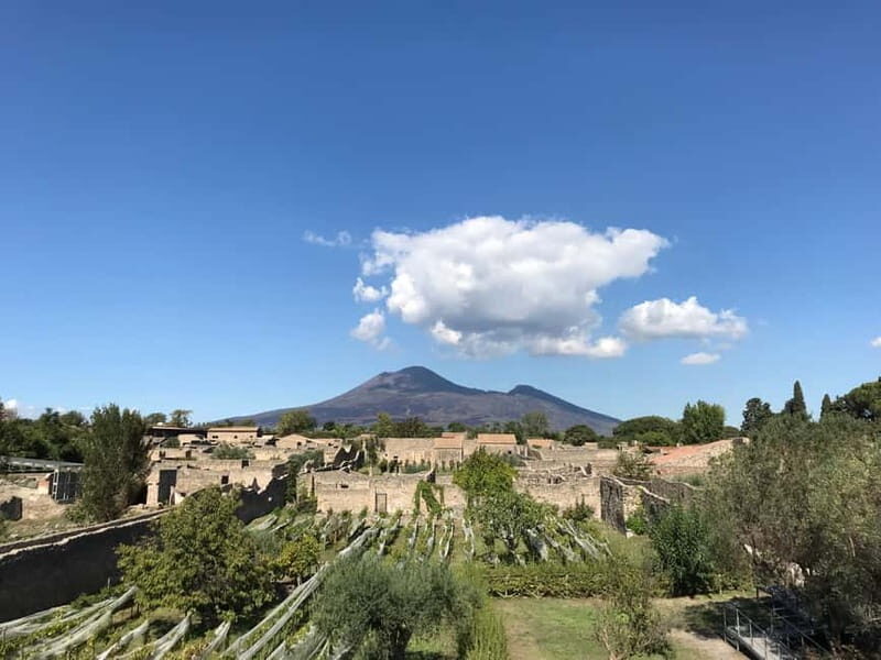 Pompeii: Exclusive Tour with Archaeologist and Entry Tickets - An In-Depth Look at the Pompeii Experience