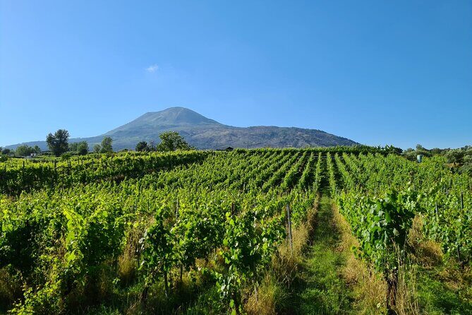 Pompeii Guided Tour & Lunch with Tasting at Two Vesuvian Wineries - Practical Tips for Travelers