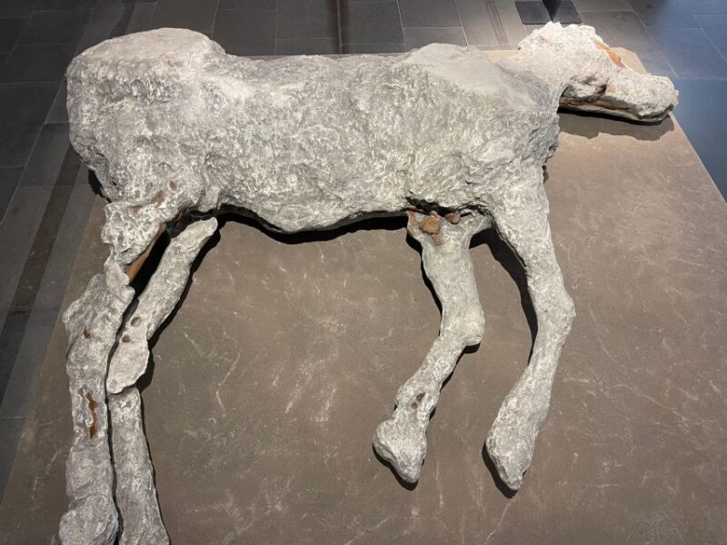 Pompeii Guided Tour Skip the line - Exploring the Pompeii Guided Tour: What to Expect
