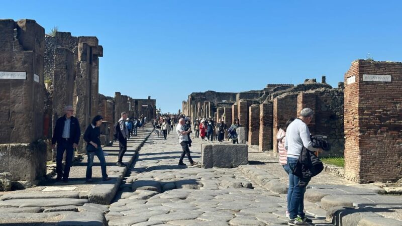 Pompeii Guided Tour with Skip the Line Entry - Practical Details and Value