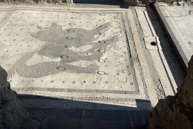 Pompeii Guided Tour with Skip-the-Line Entry - Who Should Consider This Tour?
