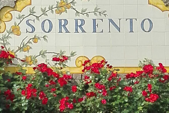 Pompeii Half-Day Tour from Sorrento - Pompeii Half-Day Tour from Sorrento: A Practical Guide to Exploring Italy’s Iconic Ruins