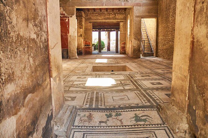 Pompeii, Herculaneum & Mt Vesuvius Private Tour from Naples - A Deep Dive into the Experience