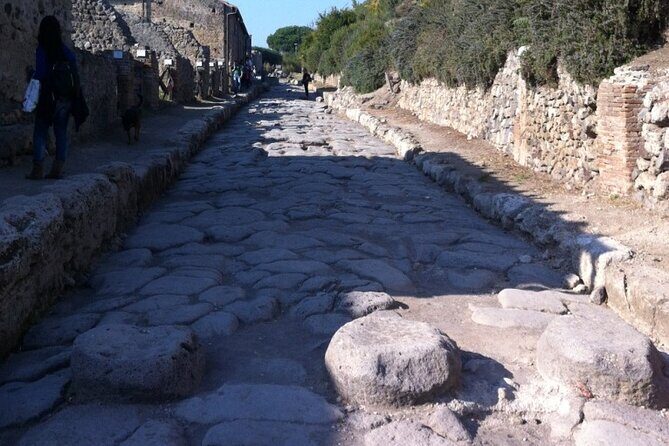 Pompeii, Herculaneum & Wine Tour, with Licensed Guide included - Final Thoughts