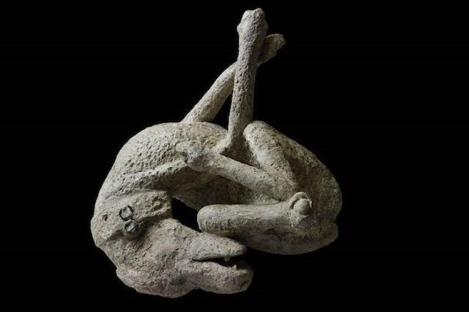 Pompeii: living with the volcano - An In-Depth Look at the Pompeii: Living with the Volcano Tour