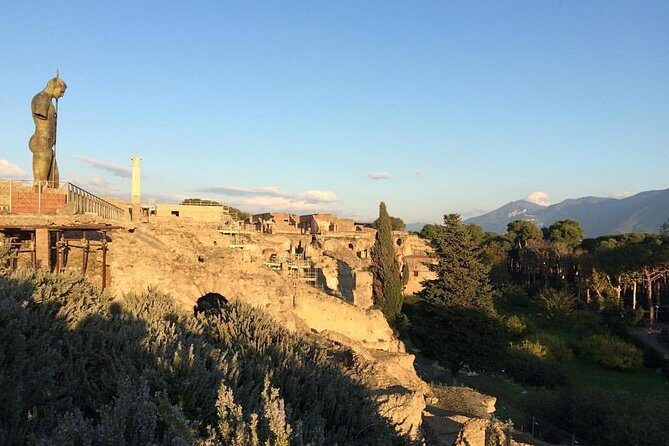 Pompeii & Naples: Full Day Tour with your Local Guide - The Tour’s Practical Aspects