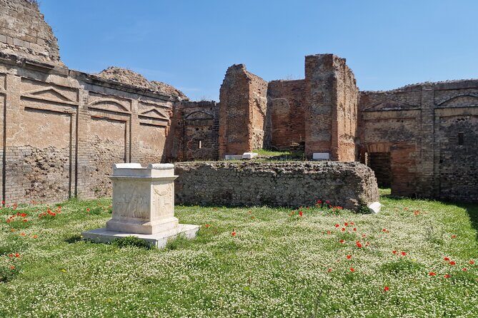 Pompeii Private Tour from Naples - Who Should Consider This Tour?