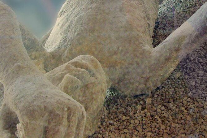 Pompeii Private Tour from Sorrento Entrance fees included - Frequently Asked Questions