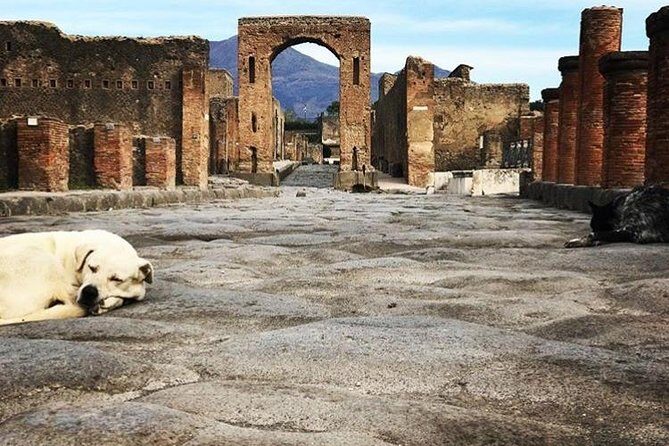 Pompeii Private Tour with Expert Guide - Exploring Pompeii with a Private Guide — What to Expect