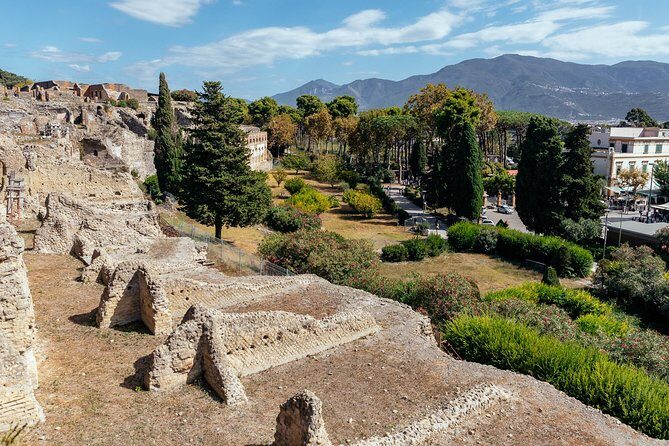 Pompeii PRIVATE TOUR With Locals: Ticket & Guide Included - Why This Tour Offers Good Value