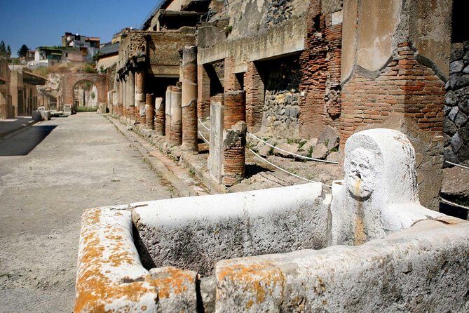 Pompeii Ruins: Day Trip from Naples with skip the line ticket - Who Should Consider This Tour?