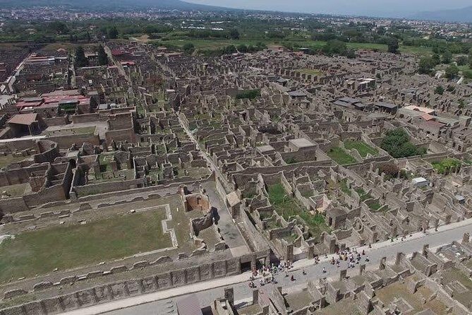 Pompeii Ruins visit for 3 hours (round-trip included) - Discover Pompeii in Comfort and Style: A Private Self-Guided Tour from Naples