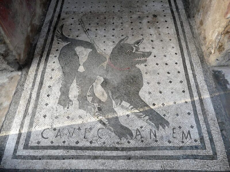 Pompeii: Skip-the-Line Entry & Audioguide - In-Depth Review of the Pompeii Experience