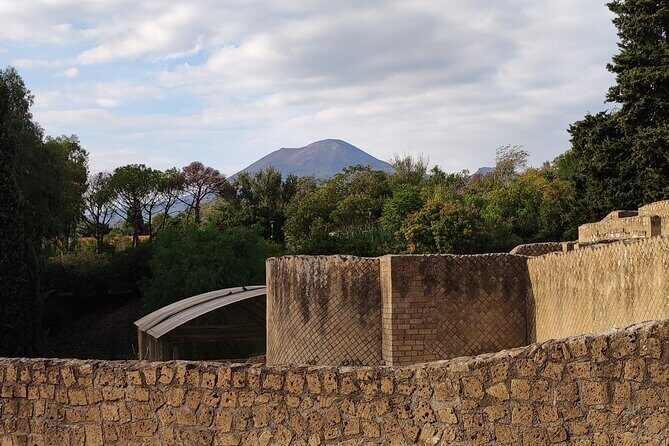Pompeii: Tour with Archaeologist Guide & Skip-the-Line Entry - Final Thoughts: Who Should Consider This Tour?