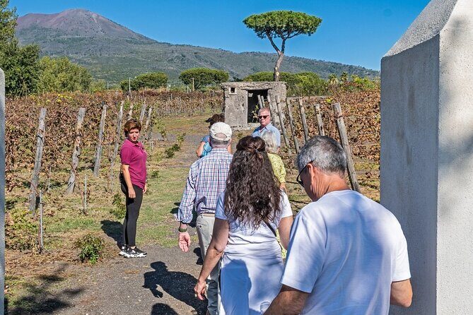 Pompeii Vesuvius Day Tour from Naples with Italian Lunch and Wine - FAQ