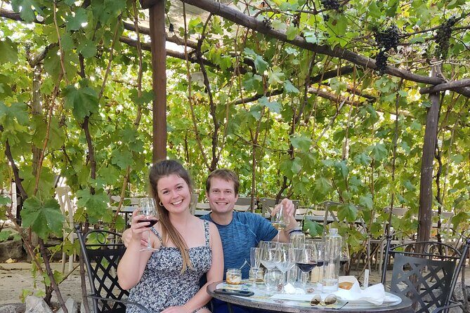 Pompeii, Vesuvius & Wine Tasting Private day Tour - Who Should Book This Tour?