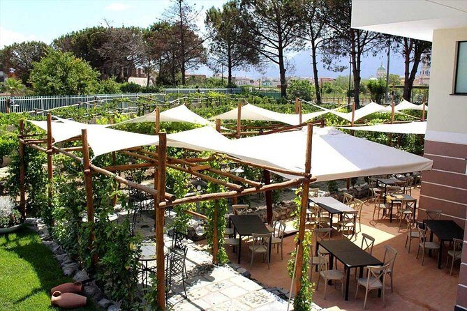 Pompeii & Vesuvius with Lunch & Wine Tasting from Amalfi Coast - FAQ: Practical Questions About the Tour