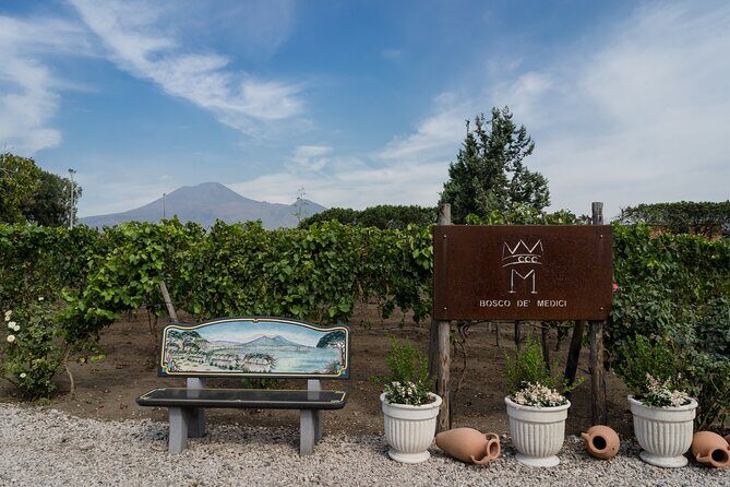 Pompeii Vineyard Escape: Private Wine Tasting & Lunch - FAQ
