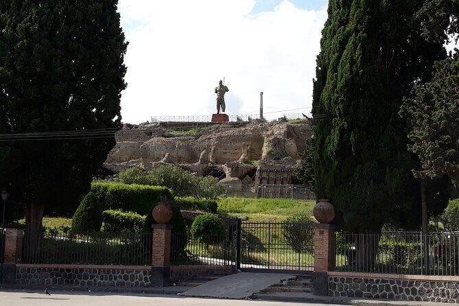 Pompeii & Wine Tasting: Private Day Tour from Naples - The Sum Up