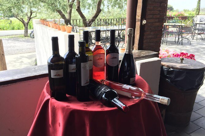 Pompeii-Wine tasting tour from Sorrento, licensed guide included - Final Thoughts
