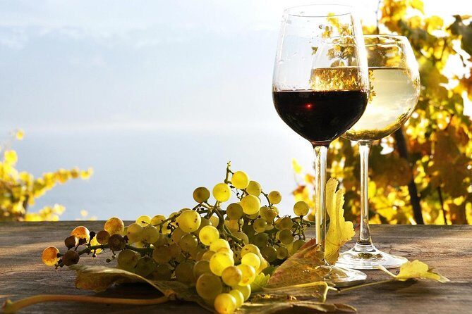 Pompeii & Wine Tour from Sorrento (tickets & lunch not included) - Why Choose This Tour?
