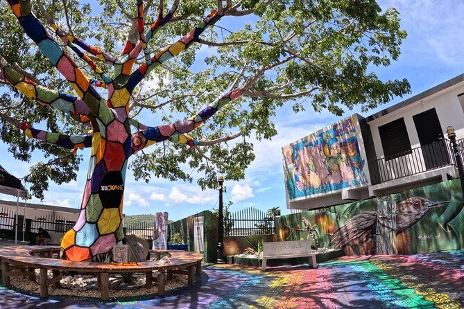 Ponce, Yauco, La Parguera & BioBay Full Day Experience - Who Would Love This Tour?