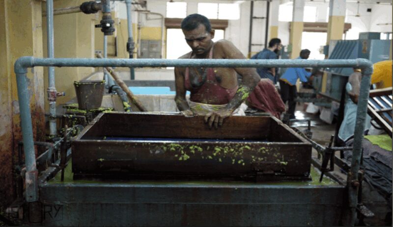 Pondicherry: Full day private tour from Chennai - A Well-Paced, Full-Day Experience