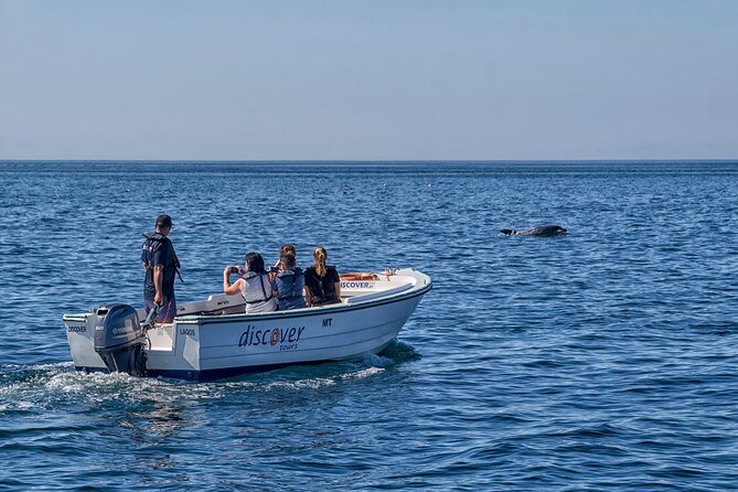 Ponta da Piedade Boat Tour to Caves and Beaches with Local Guide - Who Is This Tour Best For?