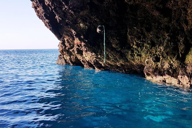 Ponta de São Lourenço Boat Tour - Discovering Madeira’s Coast from the Water