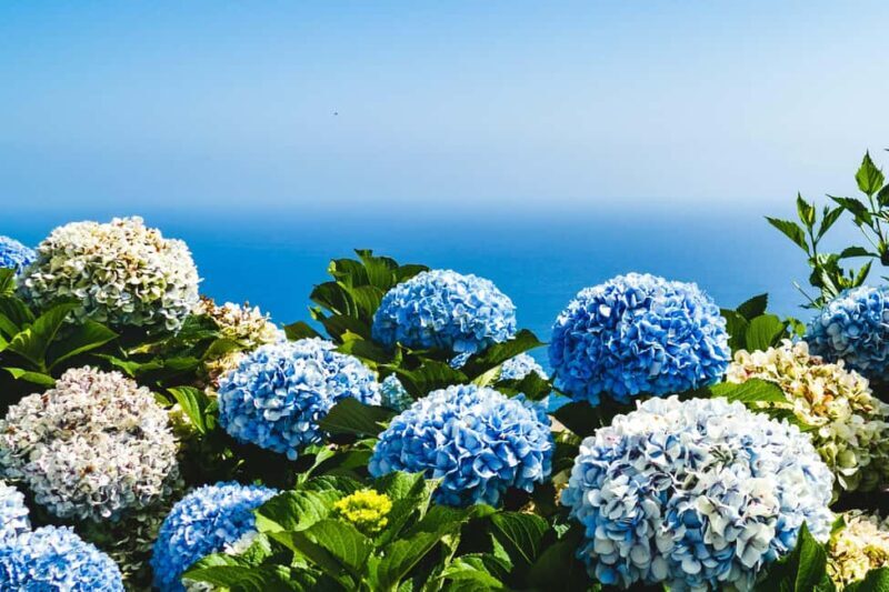Ponta Delgada: 2-Day Tour, East & West Island Highlights - Who Will Love This Experience?