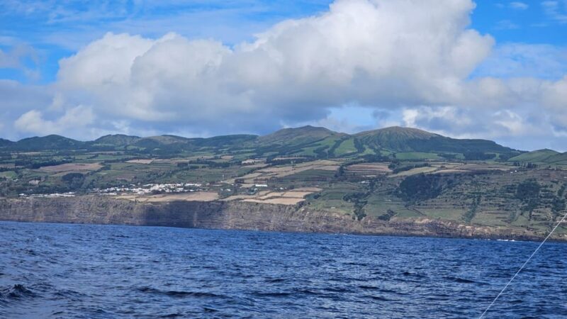 Ponta Delgada: 4-hour Half-Day Fishing Boat Trip Adventure - An Authentic Azorean Fishing Adventure