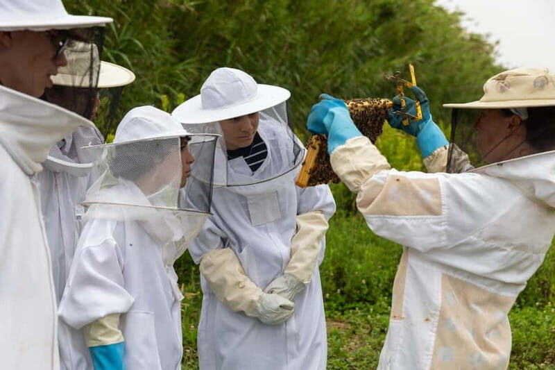 Ponta Delgada: Apiary Guided Tour - Key Points