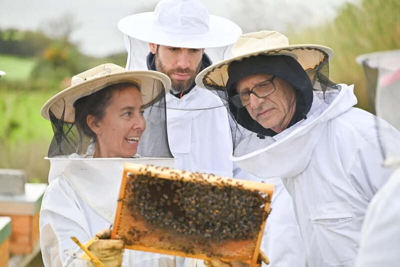 Ponta Delgada: Apiary Guided Tour - Practical Details and What to Expect