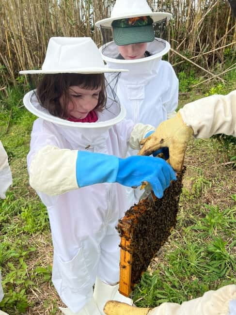 Ponta Delgada: Apiary Guided Tour - Who Will Love This Tour?