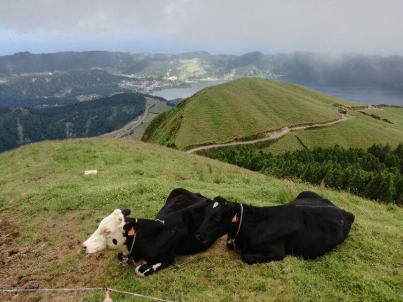 Ponta Delgada: Full-Day Sete Cidades 4X4 Tour with Lunch - The Sum Up