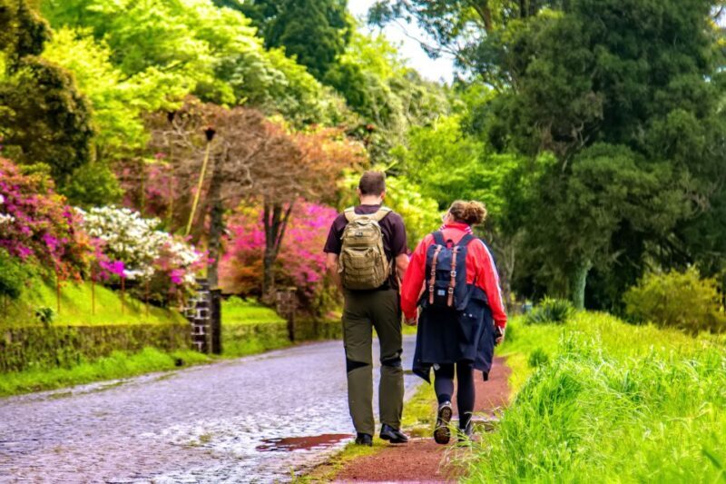 Ponta Delgada: Full-Day Van Tour to Furnas Valley - Ponta Delgada: Full-Day Van Tour to Furnas Valley