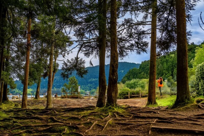 Ponta Delgada: Full-Day Van Tour to Furnas Valley - The Sum Up