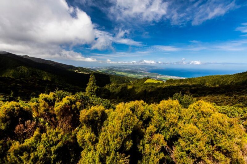 Ponta Delgada: Hidden Gems of São Miguel Full-Day Van Tour - Who Will Love This Tour