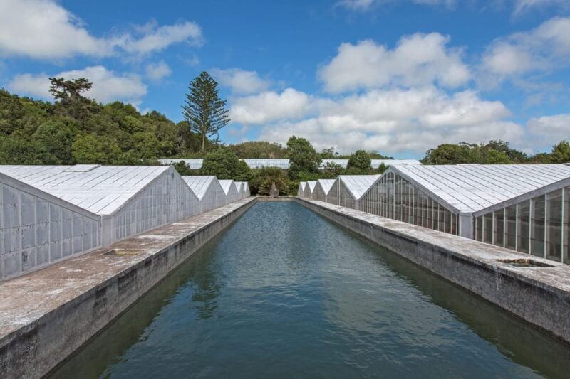 Ponta Delgada: Private Tour Sete Cidades Green e Blue Lakes - Pineapple Greenhouses and Local Specialties