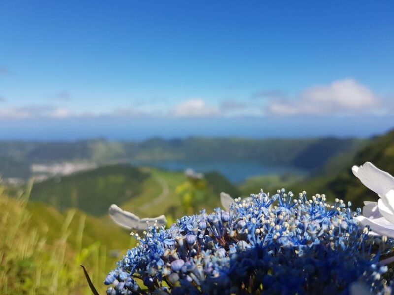 Ponta Delgada: Sete Cidades & Lagoa do Fogo Tour - FAQ
