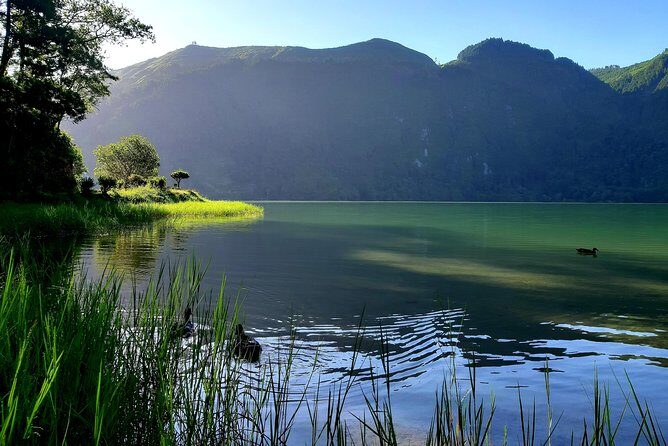 Ponta Delgada: Shore Excursion, Sete Cidades, Blue & Green Lake - Who Should Consider This Tour?