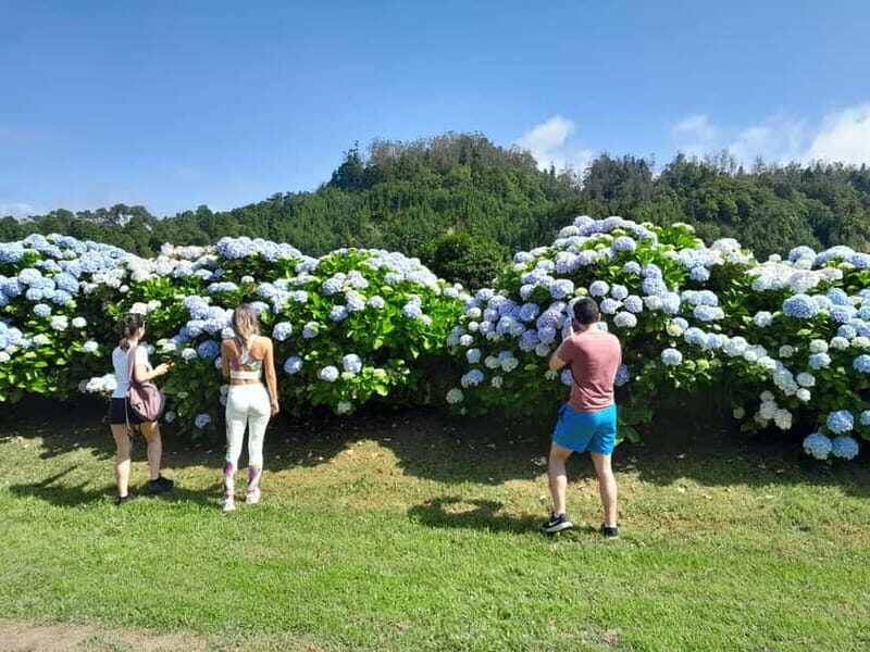 Ponta Delgada: Shore Excursion - The Blue & Green Lake - The Journey and Transportation