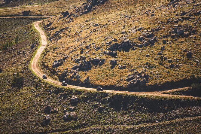 Ponte de Lima Guided Buggy Tour - An Honest Look at the Buggy Tour Experience