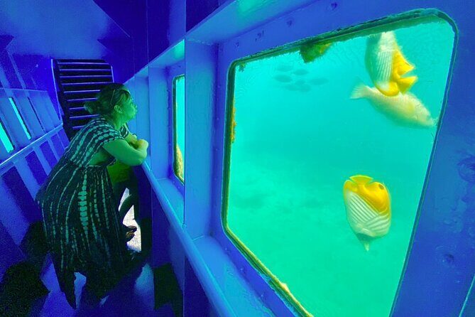 Ponton Day Trip SWIM with Turtles All meals included & Transport - Discovering the Ponton Day Trip: Swimming with Turtles and Tasty Food in New Caledonia
